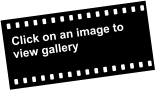 Click on an image to view gallery