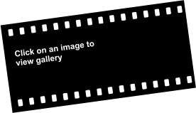 Click on an image to view gallery